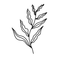 Naklejka premium branch of wheat