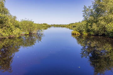 Intimate view of the Meerbaansblaak, a fen in the Grote Peel, a national park on the border between Limburg and North-Brabant in the Netherlands