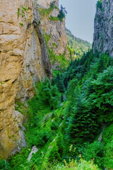 Fototapeta na wymiar Trigrad gorge canyon of vertical marble rocks in rhodope mountains