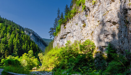 Trigrad gorge canyon of vertical marble rocks in rhodope mountains