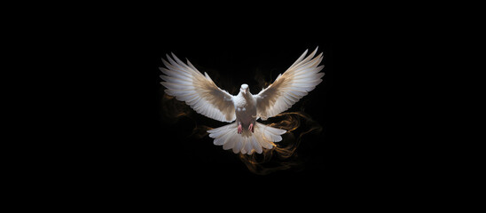 Obraz premium Winged dove with copy space, a representation of the New Testament Holy Spirit