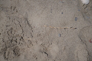 Fototapeta na wymiar Detail of fine sand on a sea