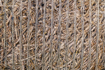 Hay bales, straw deposited on the field as fodder for cows, photographed