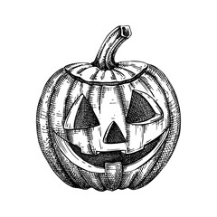 Halloween pumpkin sketch. Vintage funny pumpkin isolated on white background. Hand drawn monsters faces. Design elements for logo, badges, banners, labels, posters, prints. Vector illustration
