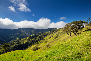 Green hills in Colombia