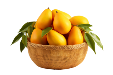 A realistic portrait of mango in a basket, isolated PNG