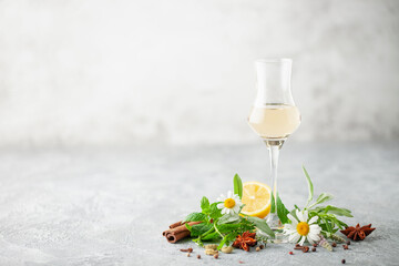Obraz premium Natural homemade herbal liqueur in glasses. Green leaves and spices .