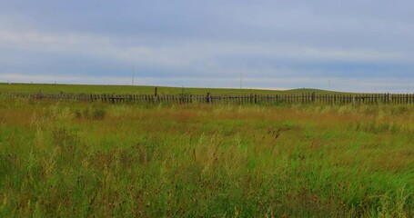 Hulunbuir Grassland, is a world famous natural pasture, is one of the world's four grasslands, known as the world's best grassland.