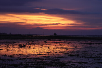 Twilight sky reflection on the wetland water 