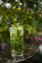 Mojito is an alcoholic cocktail.