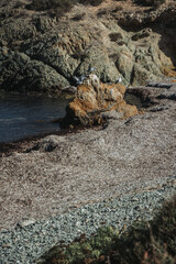 mesa, restaurante, cena, lentes, boda, interiors, mobiliario, alimento, de lujo, configuracion, habitaciones, cafes, silla, banquete, desayuno, casa, almuerzo, servilleta, barca, mar, acuático, pesca,