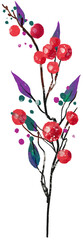 Christmas berries, cutout design element