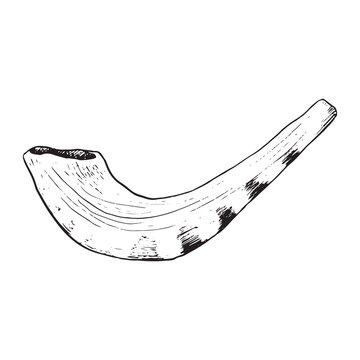 Small shofar from ram horn for Rosh Hashanah and Yom Kippur vector graphic illustration in black and white. Jewish new year traditional symbol in sketch style