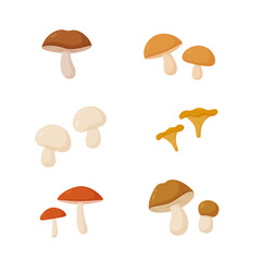 Set of mushrooms isolated on white background. Vector illustration. 