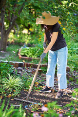 Gardener woman in hat and protective gloves digging  soil with rake in her garden. Gardening work