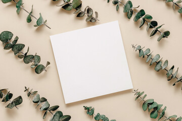 Aesthetic blank paper mockup card with eucalyptus leaves background, top view. Empty card template...