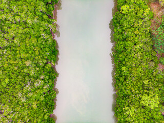 aerial top down view of rollingstone river in tropical north queensland surrounded by dense, lush...