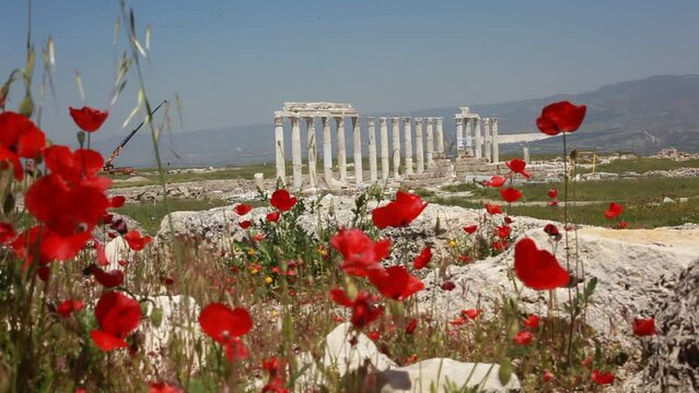 The ancient city of Laodicea, which emerged after archaeological excavations