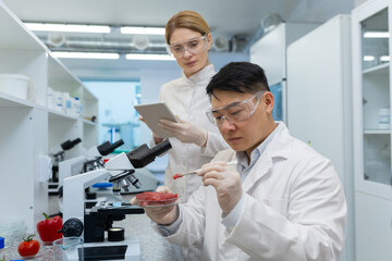 A male researcher in the laboratory examines meat, a team of scientists conducts experiments with artificially grown food, an Asian man and a woman in white medical coats test drugs.
