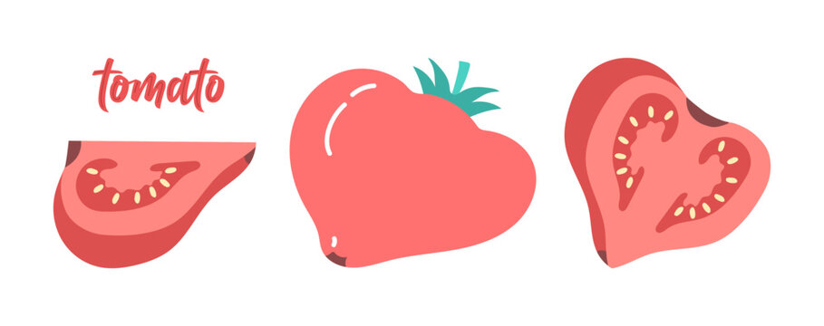 Set of tomato and its parts - whole, half, wedge in flat style.Vector illustration
