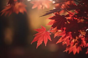 Red maple leaves swaying in light breeze and glow in sunlight on autumn park background. Generative AI