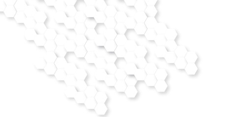 Fototapeta premium Abstract background with lines. Modern simple style hexagonal graphic concept. Background with hexagons