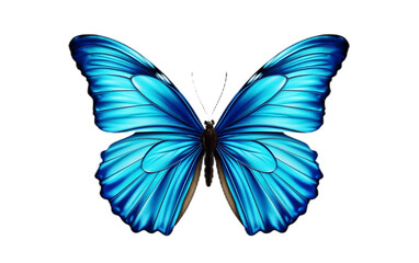 Blue Butterfly - Isolated Illustration, Generative Ai