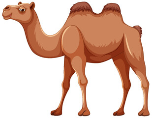 Walking Camel Isolated