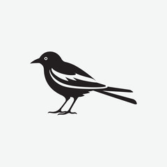 Bird vector template design