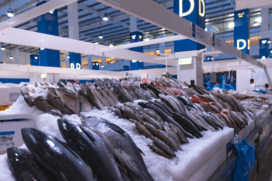 Emirates, Dubai, Deira waterfront fish market. Retailers offer fresh fish and crustaceans at their stalls on ice. Cod, sea bream, Shari fish, kingfish, , freshness, salmon, catch, prawn and shrimps.