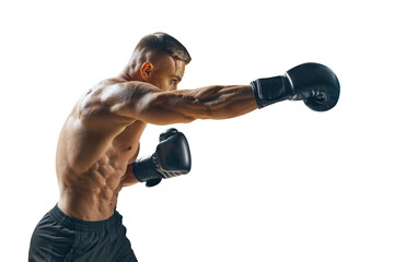 Boxing, gloves and portrait of man for sports exercise, strong muscle or mma training. Male boxer,...