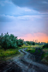 Obraz premium sunset in the forest