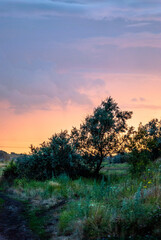 sunset over the road