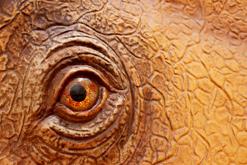 Close-up of a black-brown dinosaur eye with a kind look.  Dinosaur with kind eyes.