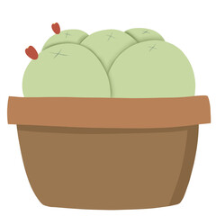 Cactus cartoon 