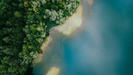 Aerial drone top down view of lake among forest, Nordrhein westfalen, Germany in summer day. 