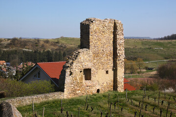 Castle tower ruin, red tile roof of a residential house and vineyard in the old village of Neu-Bamberg, Germany