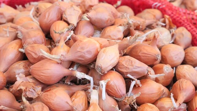 close up pf garlic selling on market 