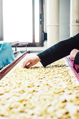 A hand taking beans in a conveyor line of a factory
