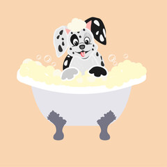 dog, bath,grooming for dogs, doberman, pink, animals, pets