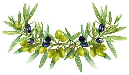 Obraz na płótnie Canvas Hand drawn watercolor drawing, ripe black olives with olive leaves on a white background. Organic food, oil. Separate elements for the design of postcards, packaging and paper.