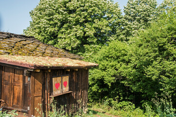 Old wooden country shed on sunny summer day
