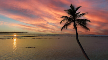 Obraz na płótnie Canvas Summer tropical with colorful theme as palm trees on the beach background