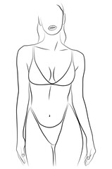 Female figure. Linear drawing, linear drawing of a beautiful female body.