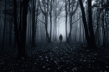 surreal spooky dark forest at night with man silhouette