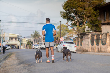 Back side of a man walking two vicious dogs on the road in the city of Bocas Del Toro in Panama on...
