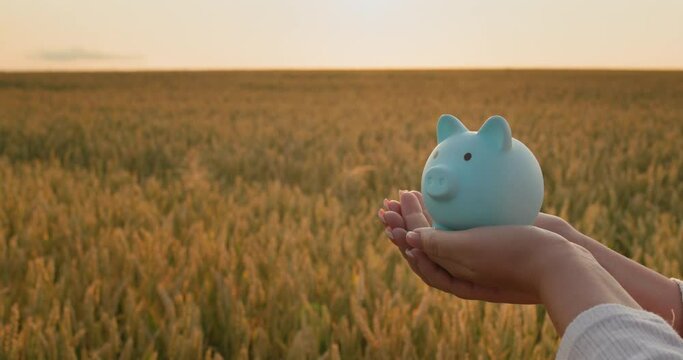 A woman holds a piggy bank against the backdrop of a wheat field at sunset. Investment in agriculture