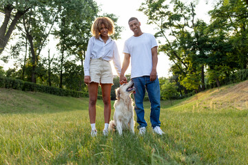 Obraz premium african american young couple in love walking with golden retriever dog in the park at sunset and holding hands