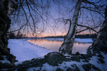 ein Baum verzweigt sich vor einem Fluss im Winter
