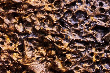 Decorative multicolor golden putty background. Wall texture with filler paste applied with spatula,...